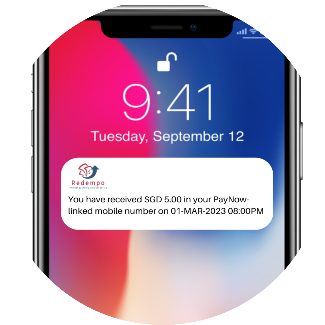 Redempo - PayNow transfer received (2)